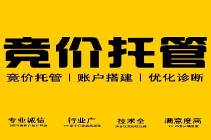 案例展示：SEM托管服务助力企业快速拓展市场